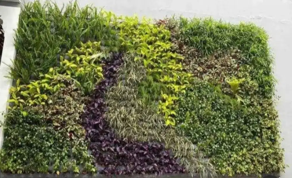 Vertikal Garden | Taman Dinding