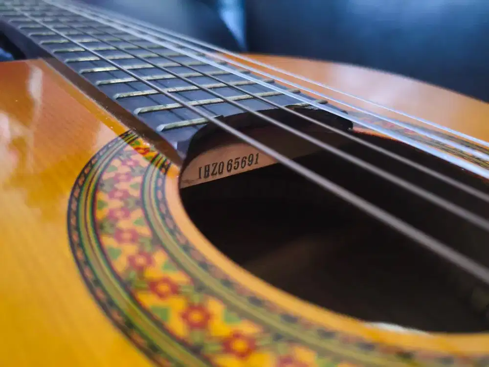 Gitar Klasik C40
