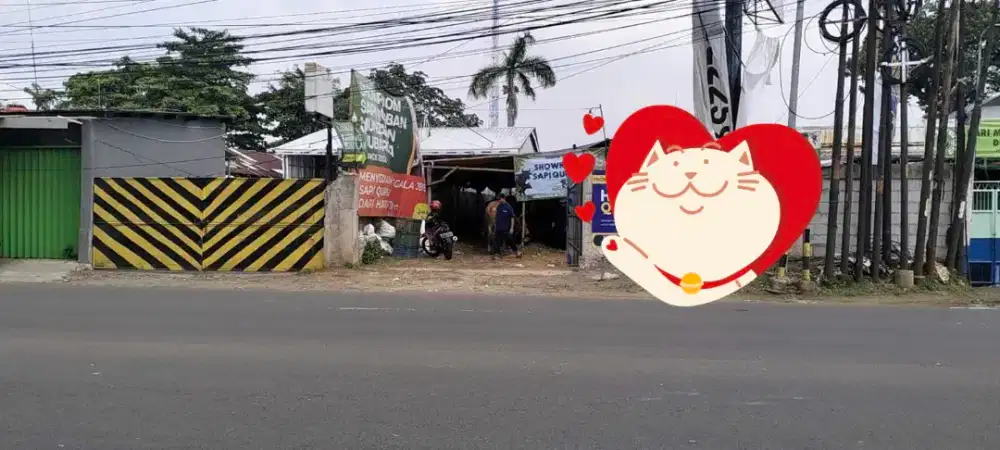 Tanah dijual cepat pinggir jalan raya Bogor 700m²(5.5jt)