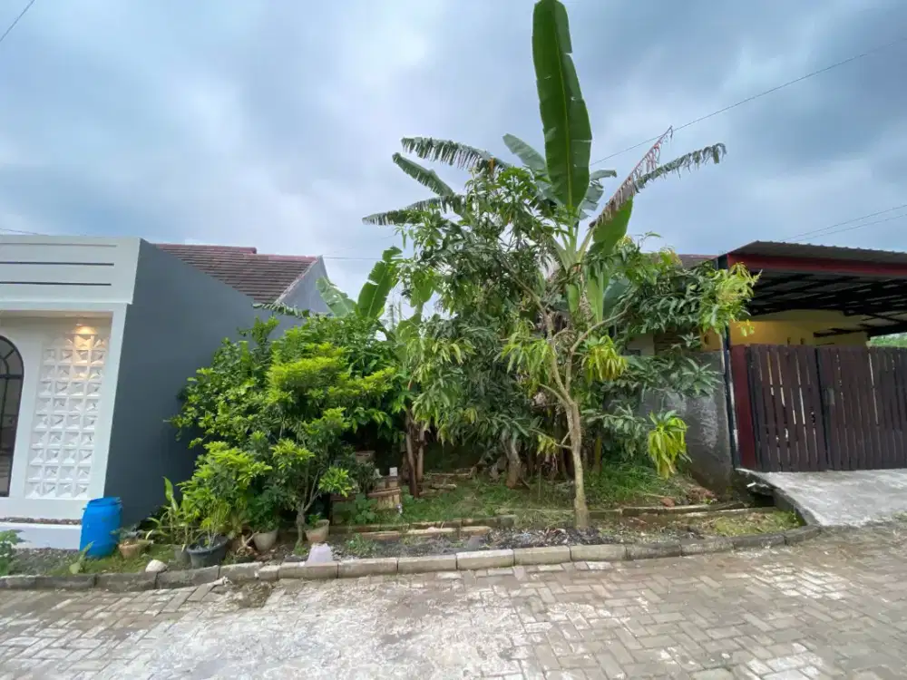 Dijual tanah untuk investasi