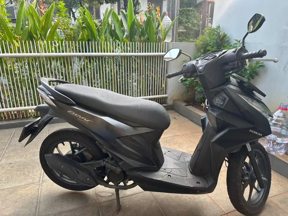 Mokas mesik tokjer