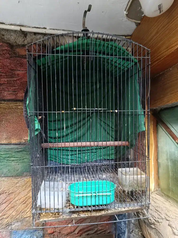 Kandang no 2 besi burung uk.63x42x38 kokoh mulus fullset krodong