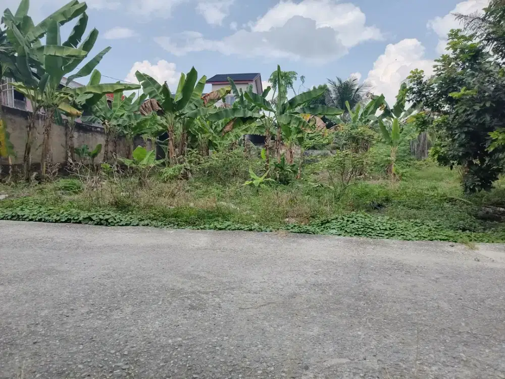 Tanah di Area Jl. Sidodadi-Kartama, Surat SHM: Murah