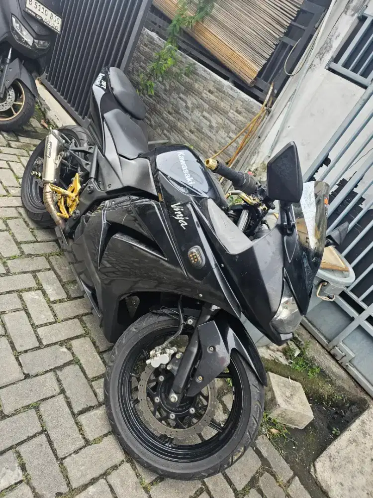 Ninja 250 Karbu