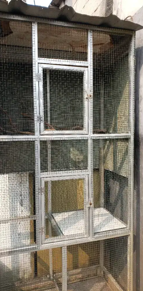 Kandang Aviari Untuk Burung