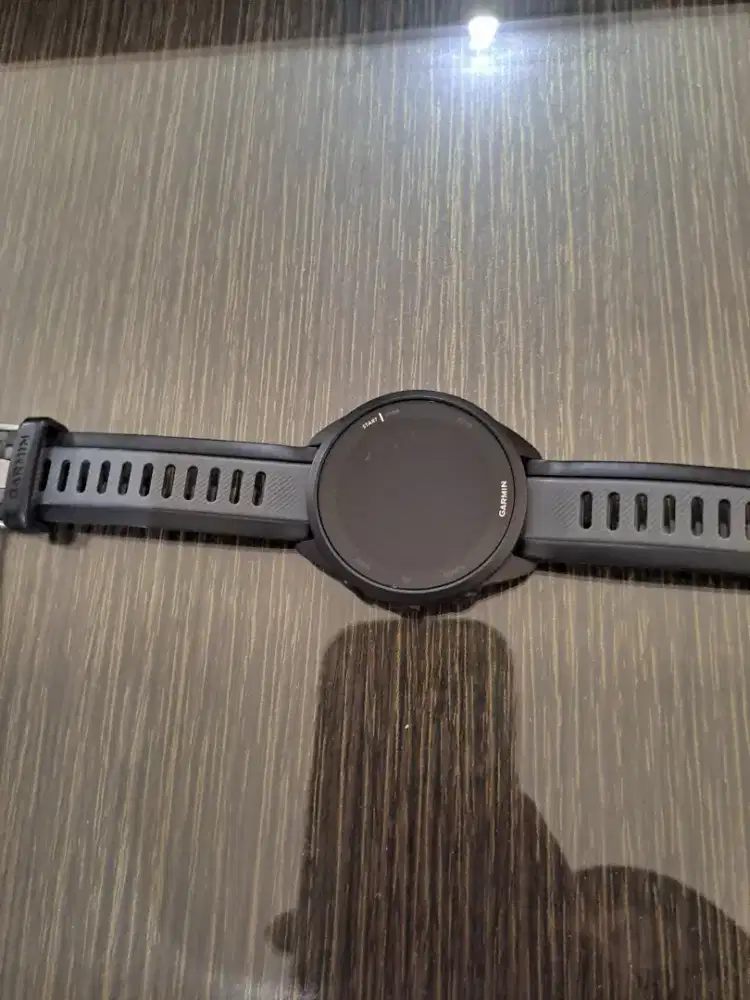 Garmin 165 forerunner