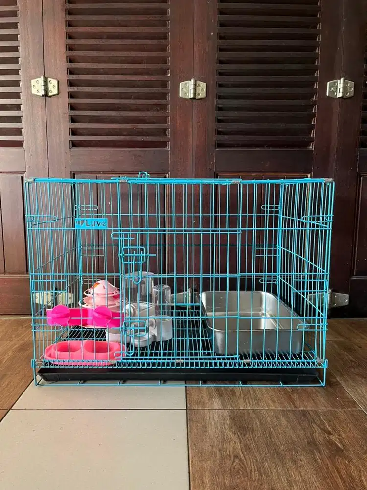 Kandang Kucing Full Furnished