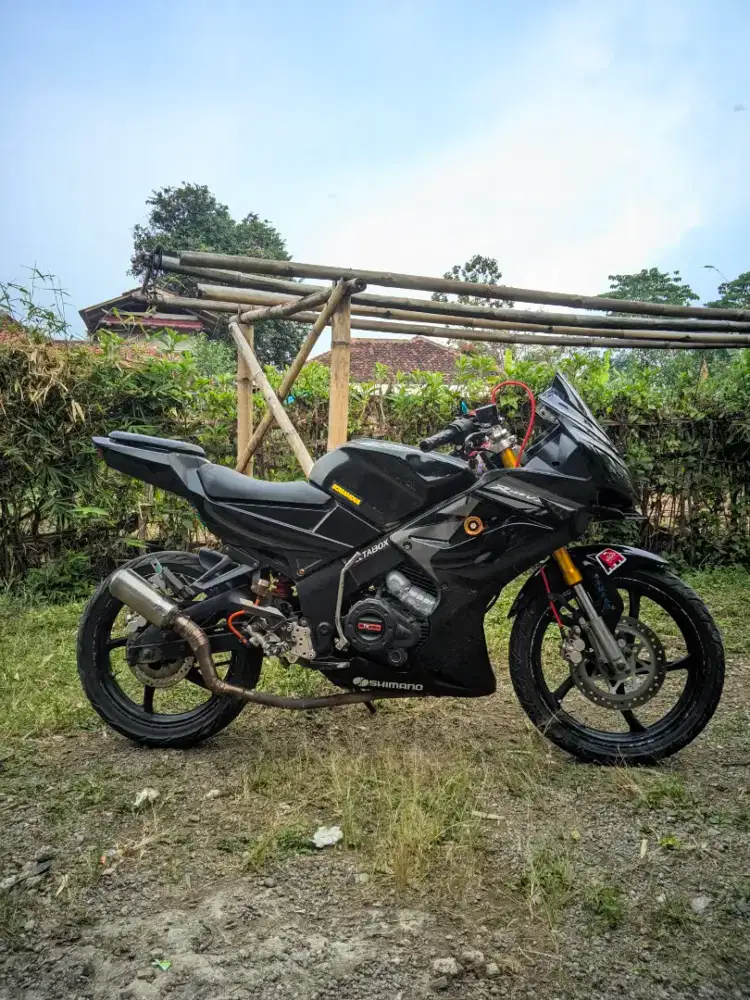 Minerva 150 vx muluss