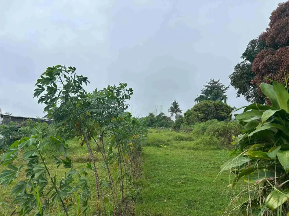 TANAH dekat JATIM PARK batu malang MURAH cocok untuk villa/cafe/hotel