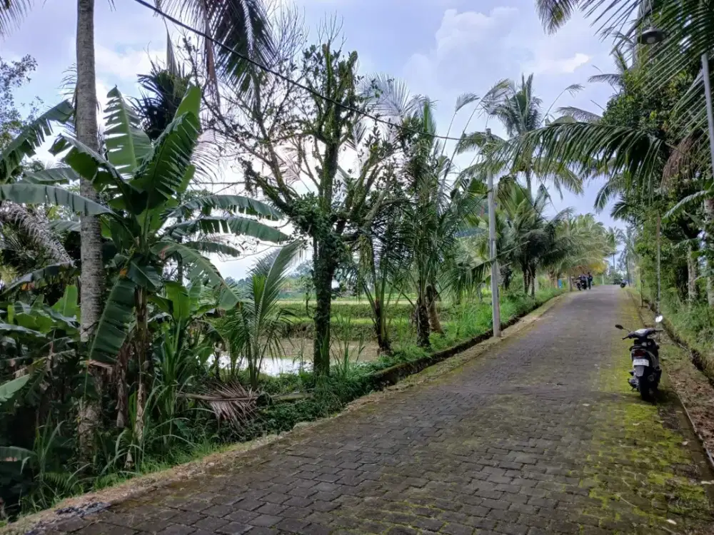 DIJUAL TANAH SELUAS 5.615 M² DI PETANG, BADUNG