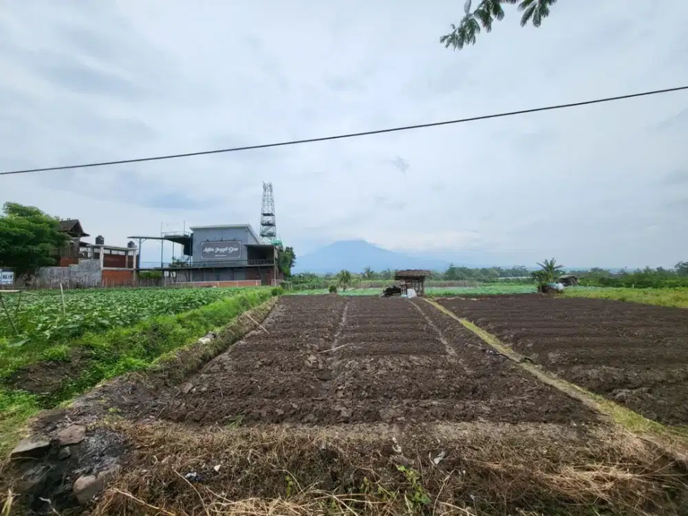 Rumah Kost di Kawasan Ramai Dekat UMM, Cocok untuk Investasi Pasif