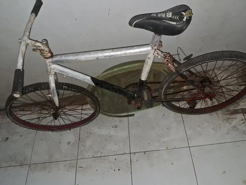 Di jual sepeda dewasa bekas