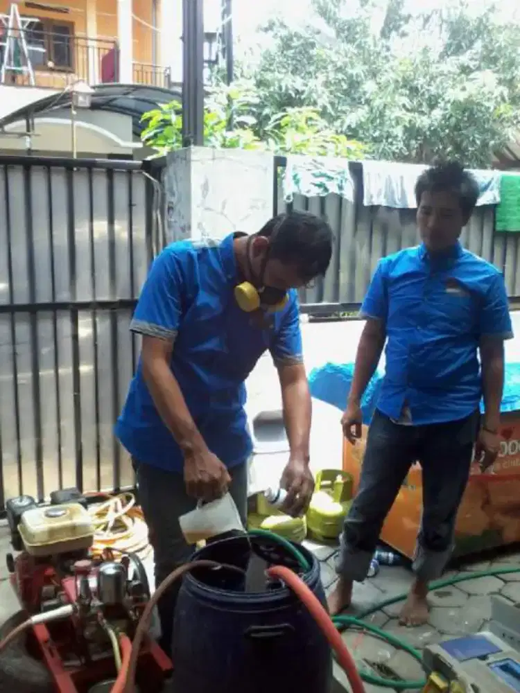 JASA ANTI RAYAP SURABAYA DAN JAWA TIMUR
