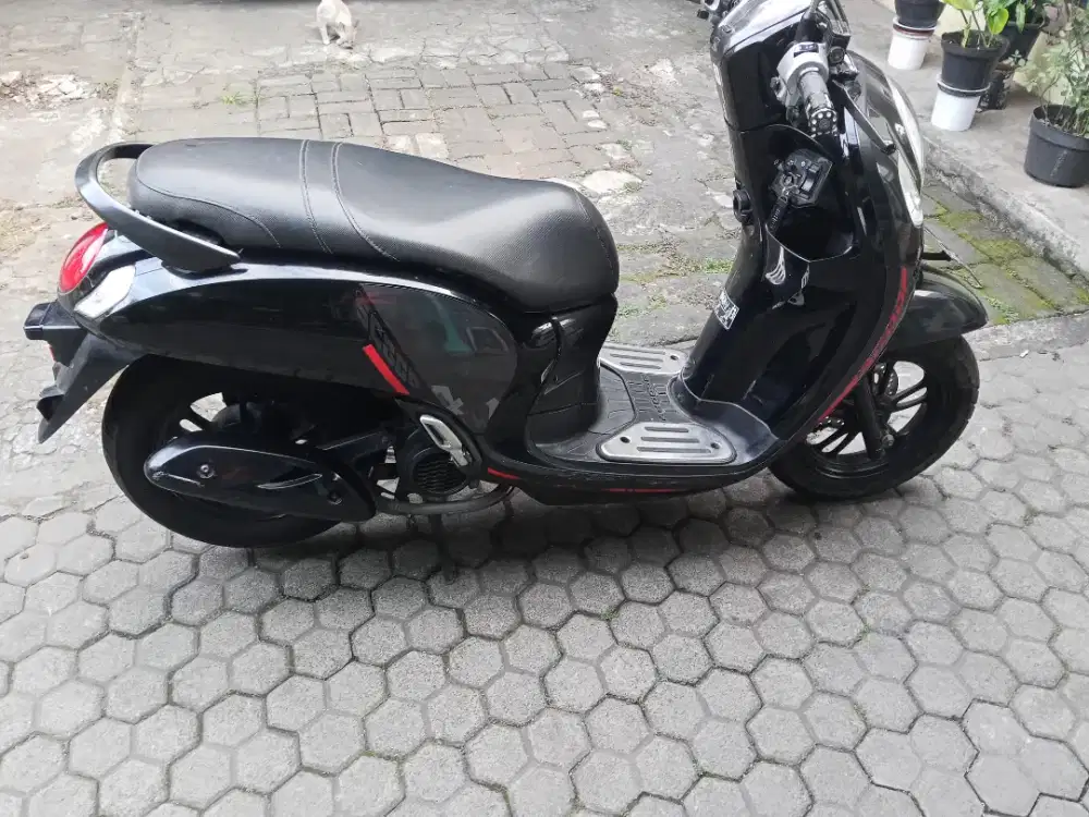 Honda Scoopy 2021 N Pasuruan kab pajak/plat lengkap fuul orsinilan