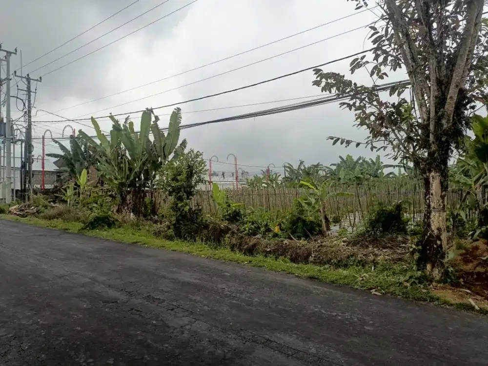 DIJUAL TANAH 1.895 M² DI BELOK SIDAN, PETANG – BADUNG