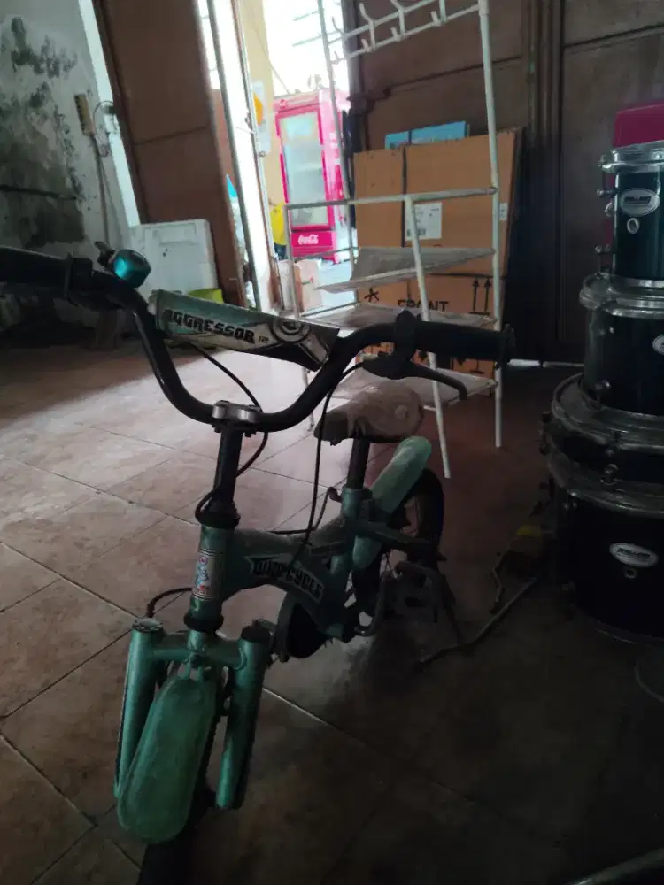 Sepeda Anak My Cycle Aggressor 12 Bekas