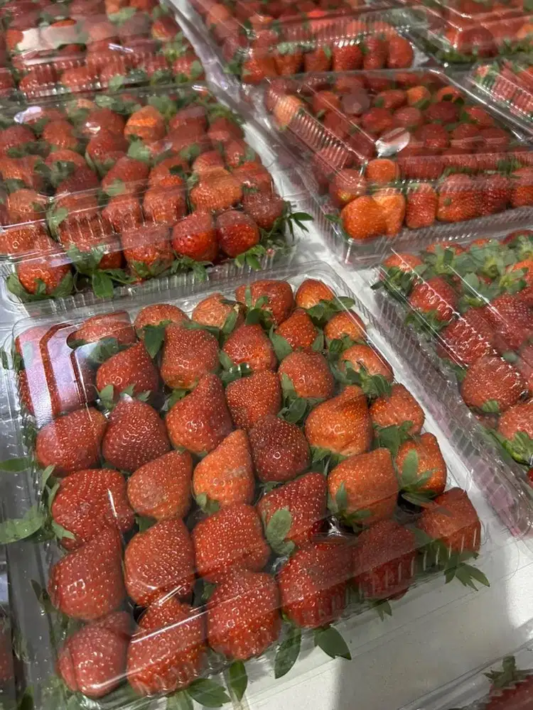 DICARI PEKERJA HARIAN BUAH