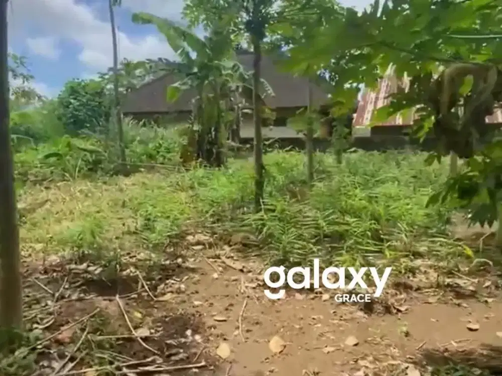 DIJUAL TANAH 4 ARE DI SEBATU GIANYAR