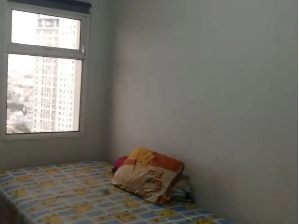 Disewakan Studio Full Furnished Apartemen Madison Park