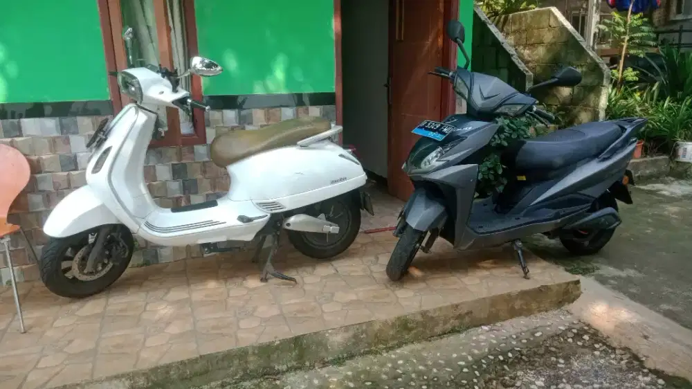 Smoth zuzu di jual