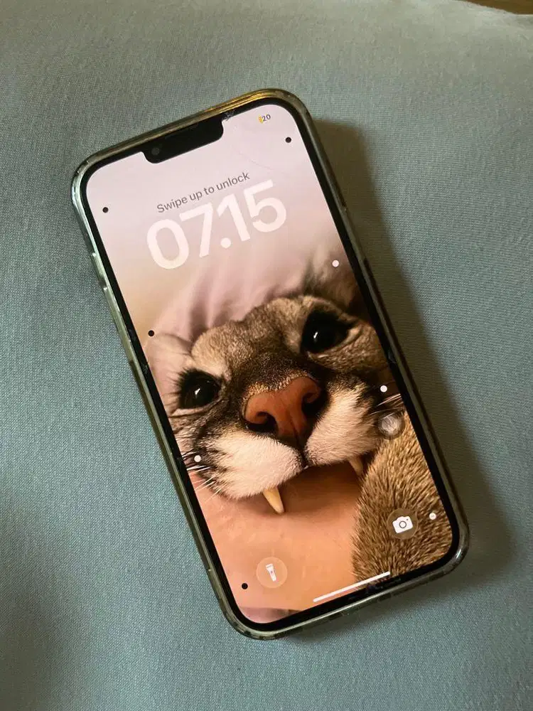 Iphone 13 Pro Max 256 GB