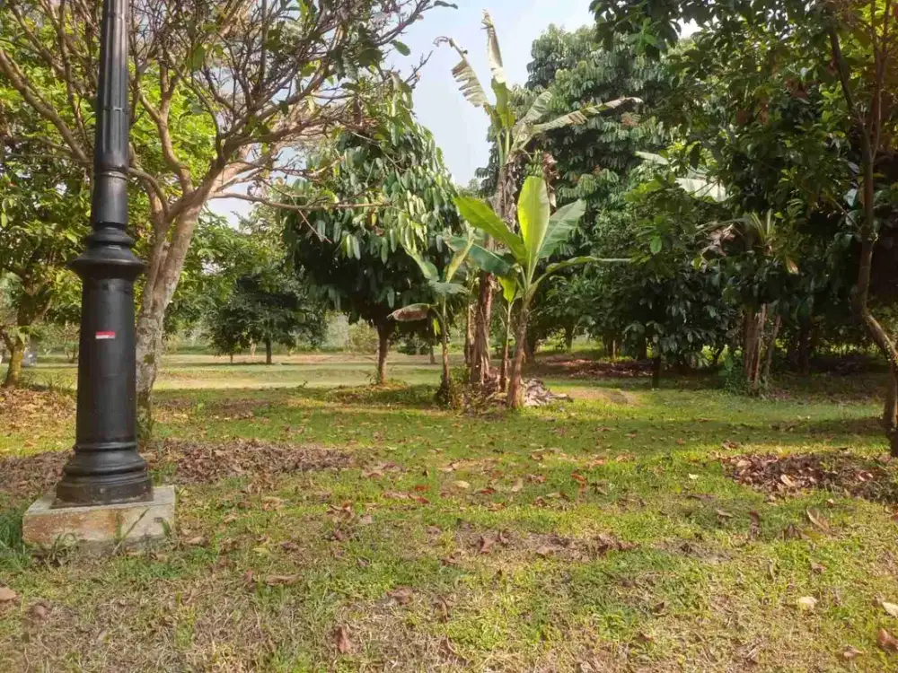 di jual villa dan kebun shm di pamijahan bogor