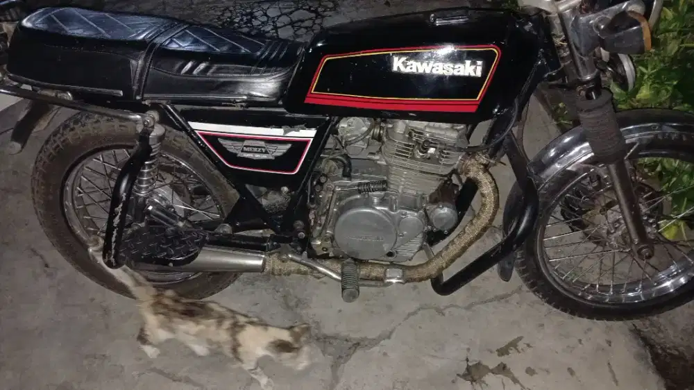 Kawasaki Binter Merzy