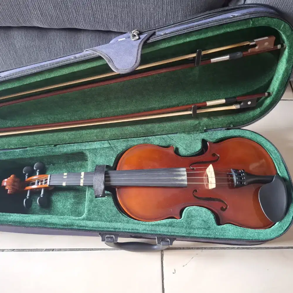 Jual biola bekas