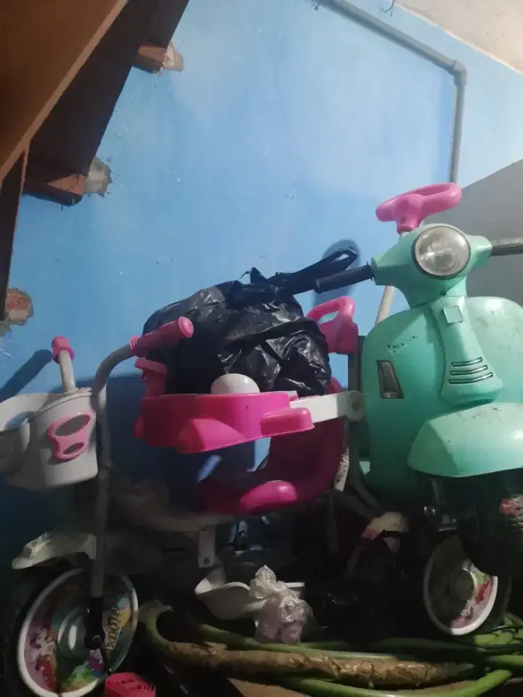 Sepeda bayi dan motor aki anak