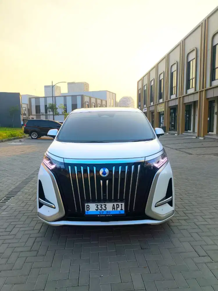 DENZA D9 EXECUTIVE 2025