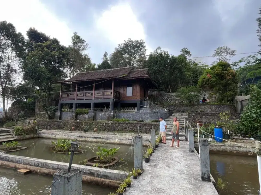 Jual Rumah + Villa + Kebun + Toko + Kolam Ikan di Wanayasa Purwakarta