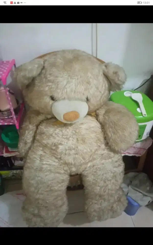 tedy bear jumbo