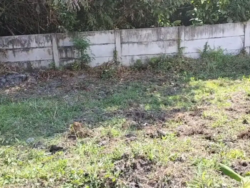 Tanah Murah Lokasi Beciro Wonoayu  Sidoarjo
