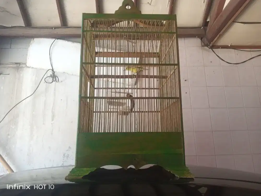 Kandang plus isinya