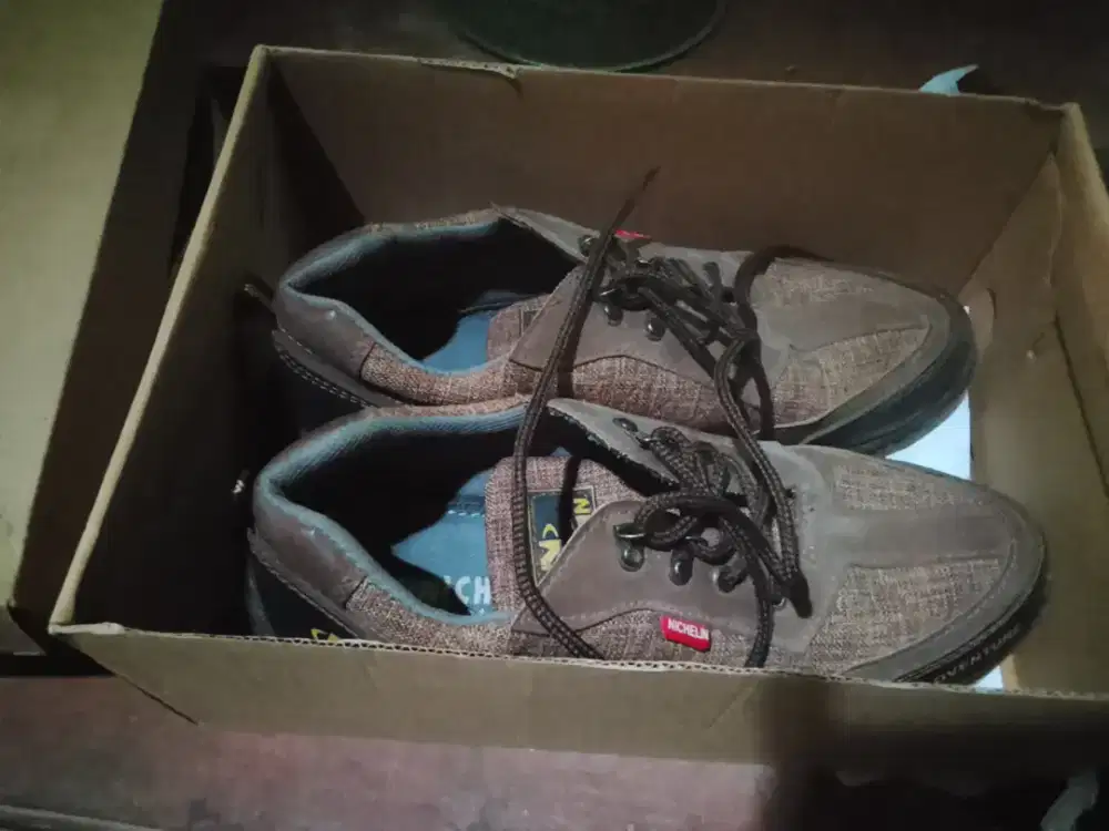 Sepatu Outdoor nichelin