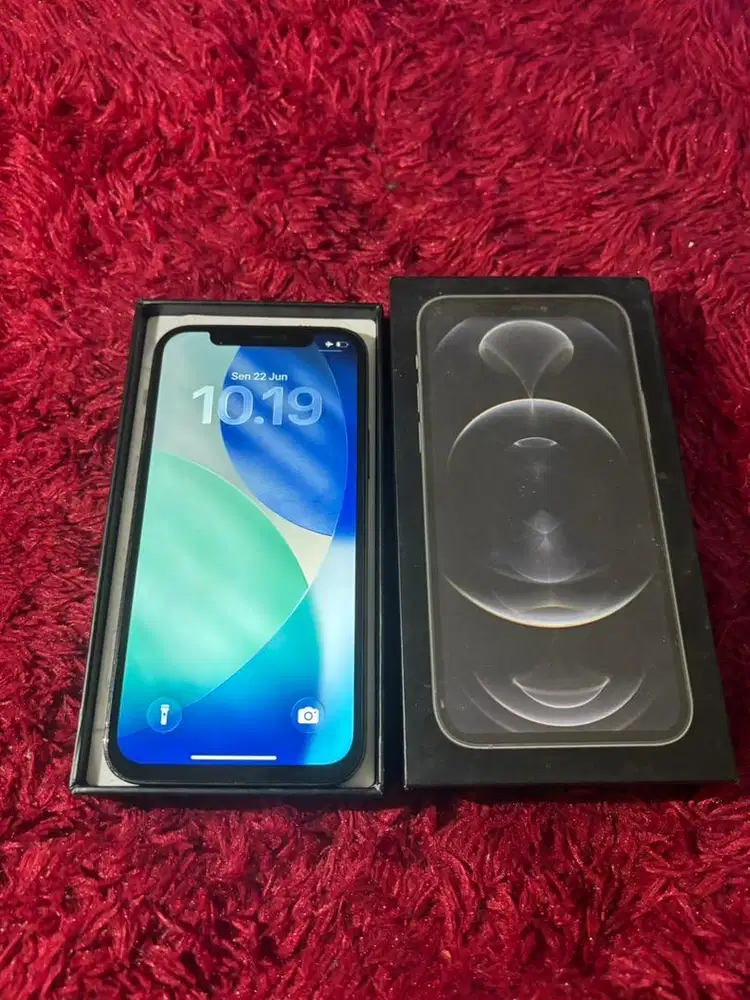 iphone 12pro 256gb (inter)