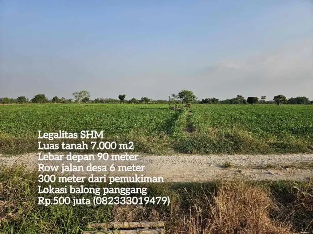 Tanah pertanian pinggir jalan desa