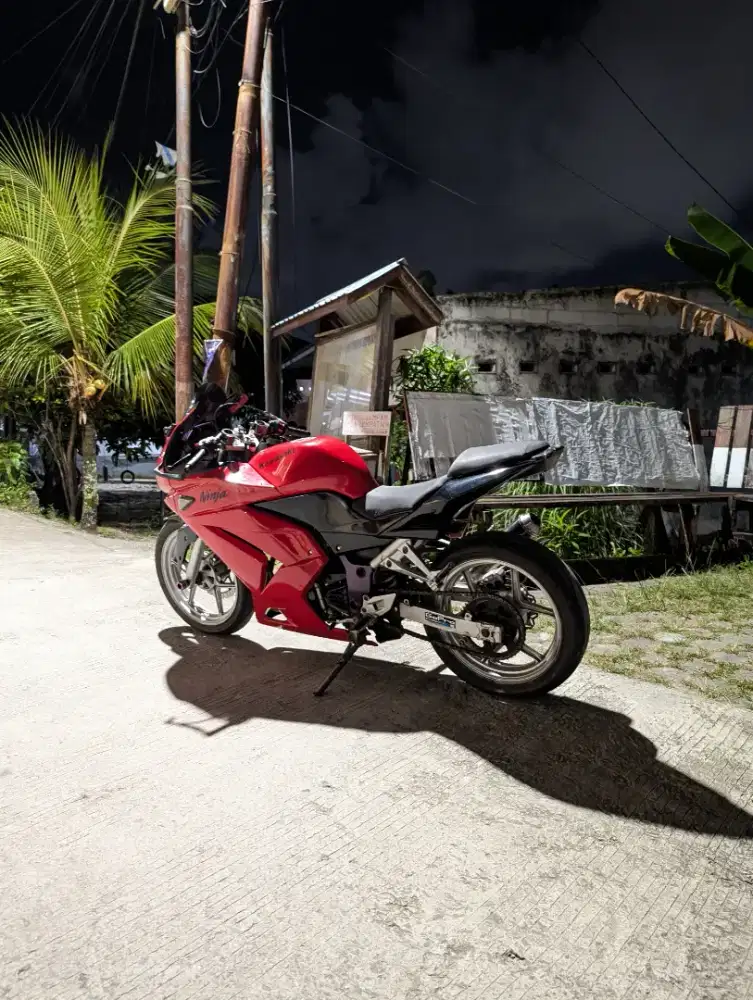 Kawasaki Ninja 250 4tak 2010
