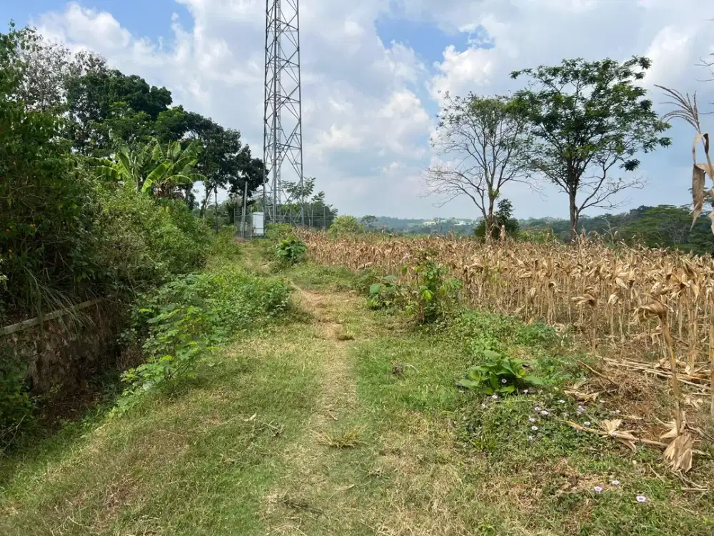 Tanah 4720m² Hanya 5 Menit Dari Pasar Mojogedang
