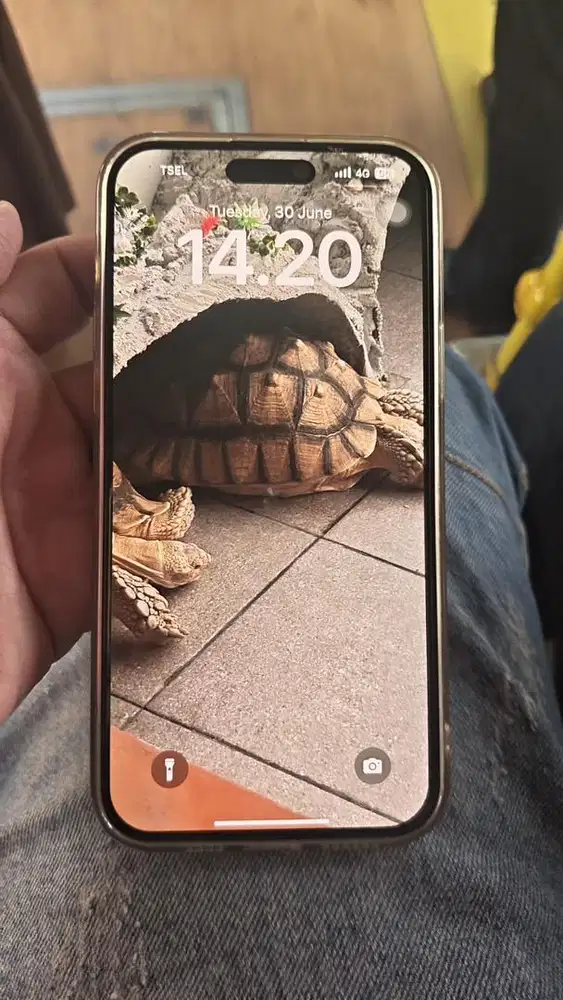 Dijual Iphone 15 plus