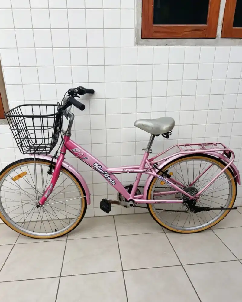 Sepeda keranjang dewasa wimcycle asli uk24