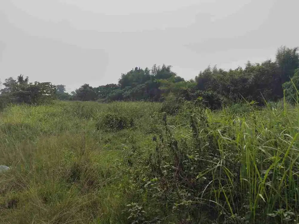dijual tanah darat cocok buat pabrik luas 1,3hektar di legok Tangerang
