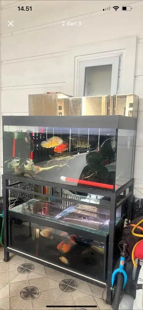 di jual aquarium besar