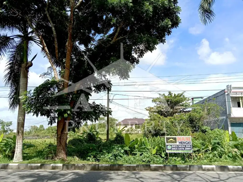 Turun Harga! Butuh Uang! Tanah Luas Dijual di Bawah Harga Pasar