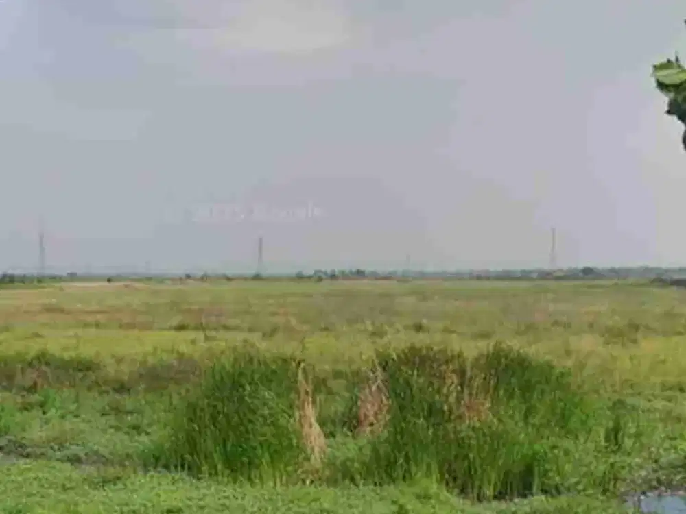 Jual Tanah Industri di jl raya rawaurip Cirebon