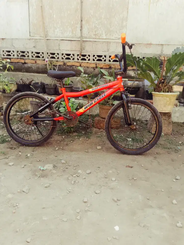 BMX 20 United decal wimcicle