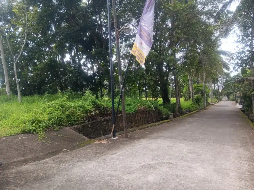 Investasi Premium! Tanah Luas Dekat Kopi Klotok - Udara Sejuk, Cocok untuk Homestay Mewah!