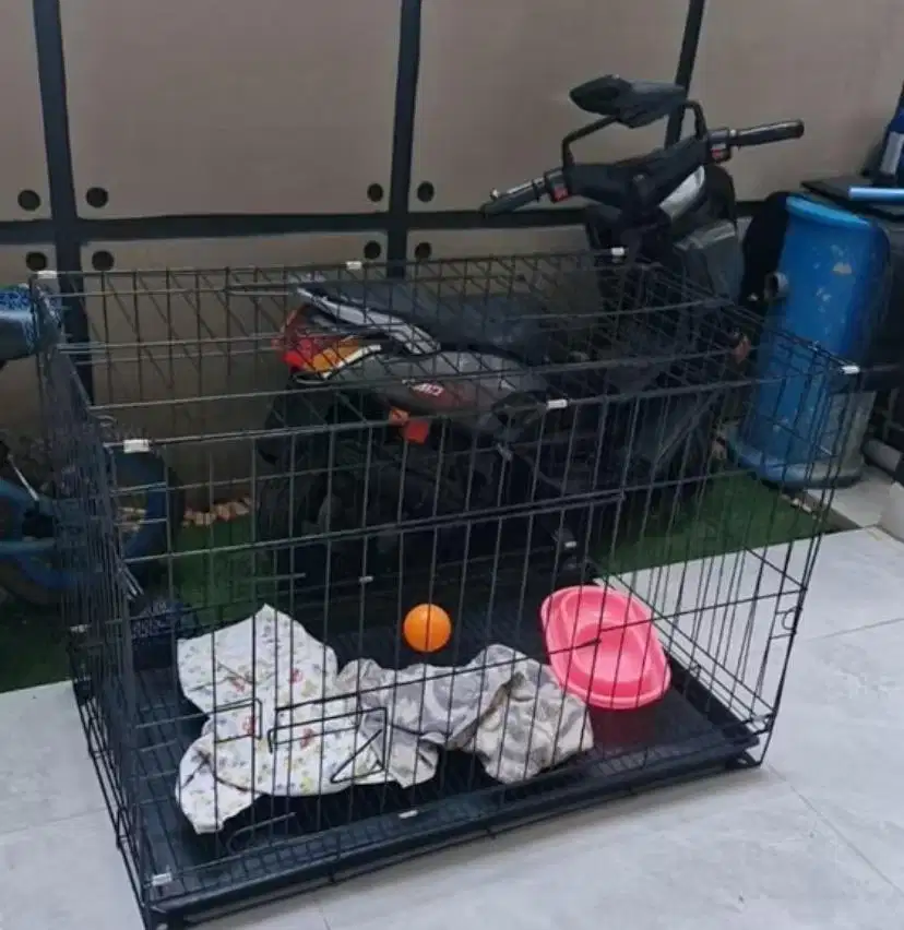 kandang kucing ukuran 75x 45 x 55 warna biru