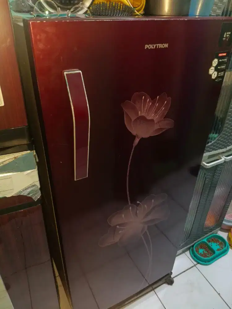 kulkas Polytron pintu 1