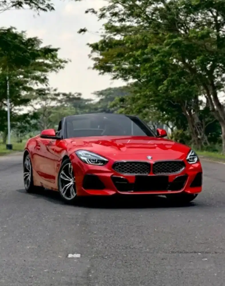 BMW
Z4 S Drive 30i 
(2.000cc Twin Power Turbo)